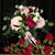 Cathy Gallagher's profile image