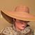 Tina Lamson's profile image