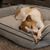 Nancy Eberle's profile image