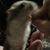 Jessica Thomas's profile image