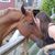 Cassandra Cioffoletti's profile image