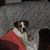 Joan Webster's profile image