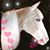 Louise Fournier Perry's profile image