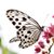 Natasha Woolery's profile image