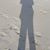 Rebecca Petrie Mitchell's profile image