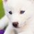 Hortencia Vasquez's profile image