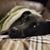 Lindsay Lane Foster's profile image