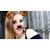 Alyssa Leigh's profile image