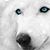 Klaudia Stalenger's profile image