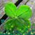 Denise Dow's profile image