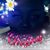 Denise Denise Harris White's profile image
