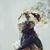Hum Tum's profile image