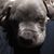 Don Lawing's profile image
