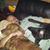 Lee Cannon's profile image