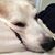 Cathy Smith's profile image