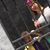 Elizabeth Rasmusson's profile image