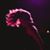 Donna Brown's profile image