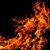 Thomas Troutman Sr's profile image