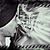 Shivam Verma's's profile image