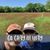 April Mobley Krause's profile image
