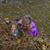 Michele Holly LaSpina's profile image