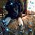 Eileen Gmerek's profile image