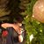 Sitthakarn Wangha's profile image