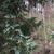 Helen Trammell's profile image