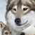 Carla Sue Willis's profile image