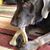 Carol Frizzell's profile image