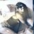 Gina Lea Wilhelm's profile image
