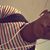 Souhail Urm's profile image