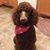 Beth Rutledge's profile image