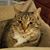 Polly Magness's profile image