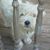 Sandy Stevens's profile image