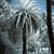 Cathie Vandeven's profile image
