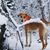 Jodi Anderson Schwen's profile image
