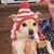 Brooke Gira's profile image