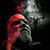 Ed Grafton's profile image