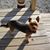 Twanna DeLong's profile image