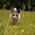 Rose Higgerson's profile image