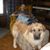 Jim Strmac's profile image