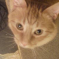 Bernadette Hagerman's profile image