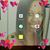 Ambria Coffey's profile image