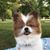Nancy Nance's profile image