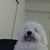 Bich Ngoc Nguyen's profile image