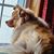 Tammy Radford's profile image