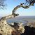 Kathy Holloway Lawrence's profile image