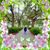 Dee Reckner's profile image