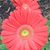 Cindy Moore's profile image